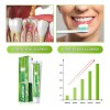 Caredo Toothpaste For Root Canal Autotherapy Mint 100ml
