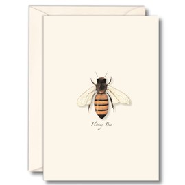 Earth Sky + Water - Honey Bee Notecard Set - 8 Blank Cards with Envelopes