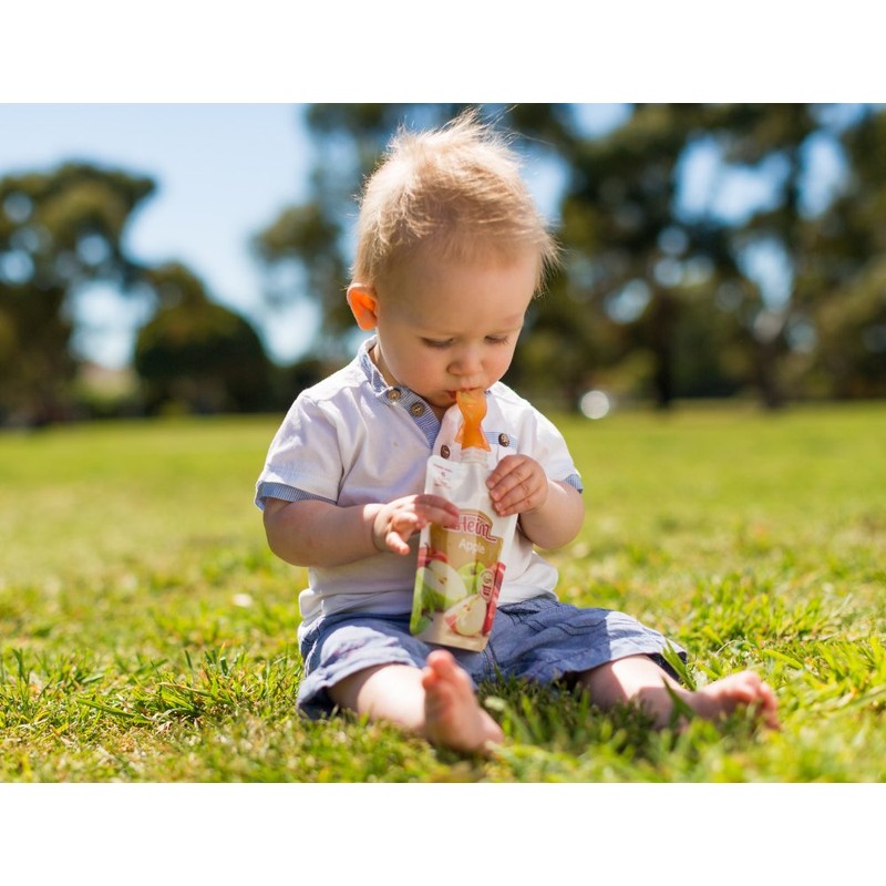 Cherub Baby Universal Reusable Non-Spill Baby Food Pouch Squeeze Spoon