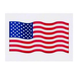 'American Flag' Temporary Tattoo - Water Resistant, Skin-Safe, Non-Toxic Transfer (TO00046506)