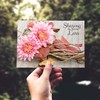 Shared Blessings Thoughts of Sympathy 24 Boxed Condolence Cards with