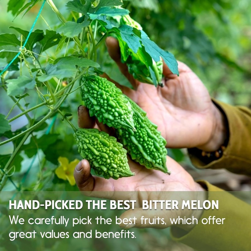 (4 Packs) Dried Bitter Melon Slices – 3.5 oz |