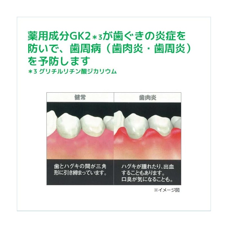 GUM(ガム)・デンタルペースト 155g (医薬部外品)