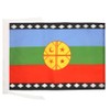 AZ FLAG Mapuche People of Chile Flag 18'' x 12''