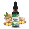 Natural's Answer Ginger Root Drops, 1000mg, Alcohol-Free, 30 ml