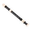 8 Hole Recorder Detachable Soprano Recorder Musical Instrument with Cleaning