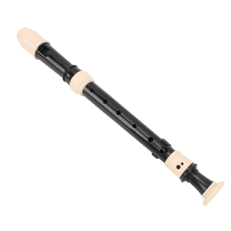 8 Hole Recorder Detachable Soprano Recorder Musical Instrument with Cleaning