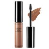 Visee Riche BR-2 Instant Eyebrow Color, Pink Ash, 0.2 oz