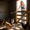 Lconvicely Egg Grabber for Chicken Eggs – Extendable Egg Picker