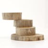 Tomo Corporation Stump Tray with 3 Tier Slide