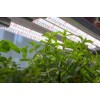 BoostGro LED Plant Grow Light Sunlike Full Spectrum Flower Hydroponics