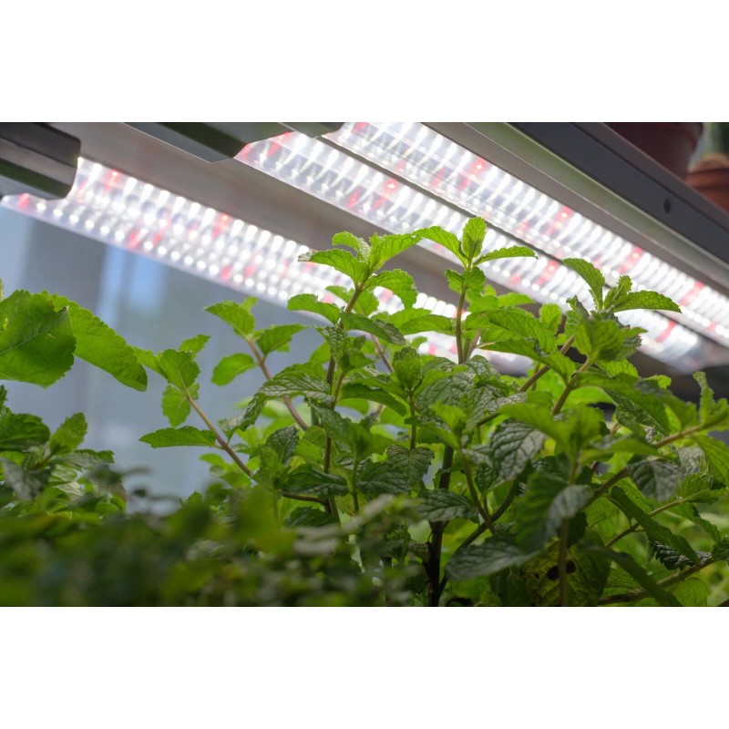 BoostGro LED Plant Grow Light Sunlike Full Spectrum Flower Hydroponics