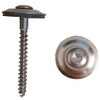 VA Spengler Screw 4.5 x 45
