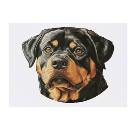 'Rottweiler Dog Portrait' Temporary Tattoo - Water Resistant, Skin-Safe, Non-Toxic Transfer (TO00085741)