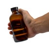 Cornucopia 8-Ounce Amber Glass Bottles with Polycone Caps, 6-Pack