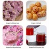 Freeze-Dried Dragon Fruit Cubes, 5.2oz Sealed cans | Unsweetened Crispy