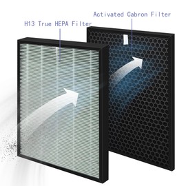 Popurure SPA-550A Filter Replacement Compatible With Rabbit Air BioGS 2.0 Air Purifiers, Model SPA-550A and SPA-625A, 2 True HEPA(H13) Filters + 2 Activated carbon Filters