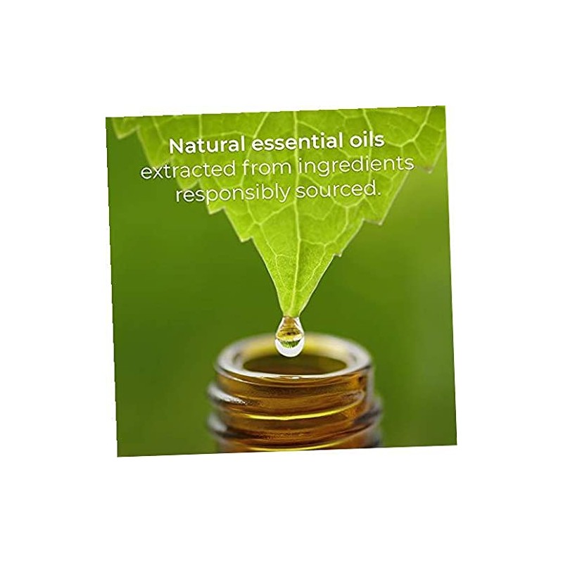 Air Wick Scented Oils 0+10 Sweetgrass & Sandalwood