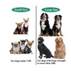 Yangbaga Dogs Shock Absorber, Elastic Buffer Extension leash with Bungee