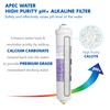APEC Water Systems PHPLUSKIT-38 10" US MADE Alkaline High Purity