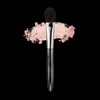 Picasso Collezioni [Picasso Collezioni] 14 blusher 1ea / [피카소꼴레지오니] 14