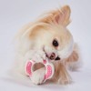 Petio Dog Toy Chewing Ring Dental Hard Ripe Strawberry Flavor