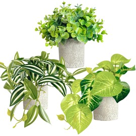 Sandoval Az Store Eucalyptus, Eyebrow Leaf,Epipremnum Aureum,3 Pieces of mini Fake Plants,Artificial Plants Indoor, Hanging Plants, Home Decor Fake Plants,Faux Plants Indoor, Bookshelf Decor