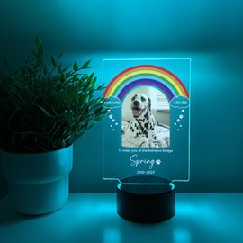 Pet Memorial Night Light, Custom Pet Plaque, Pet Night Light, Custom Pet Photo, Pet Memorial Frame, Gifts for Pets, Cat Dog Loss Gift. 16 Color Options. In Loving Memory Stand Made in America