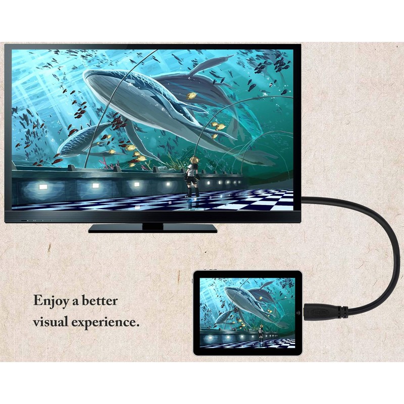 zdyCGTime Micro hdmi Socket Male to Mini hdmi Male Converter,high