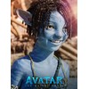 Avatar The Way of Water Poster 30 x 40 cm