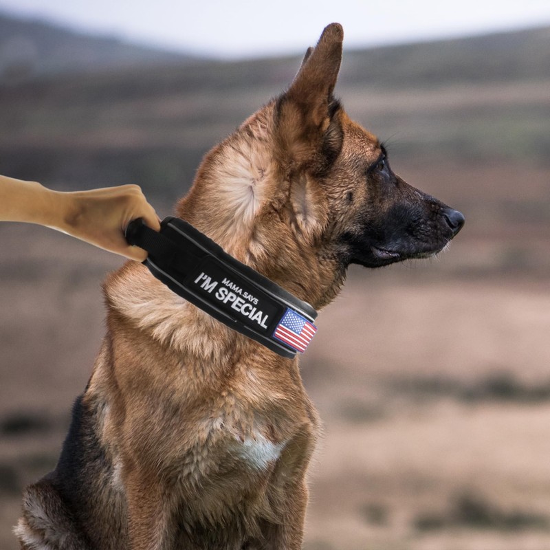 Comfluxe 2.5" Tactical Dog Collar for Medium Dogs, Adjustable Heavy