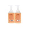 Moon Valley Herbal Foaming Hand Soap, Grapefruit Thyme 2 Pack,