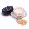Rachel Wine Mineral Foundation [SPF27 PA+++] [Blossom] 4.5g Gentle Powder