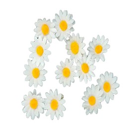 [12 Packed] Women Sweet Flower Side Hair Clip Beach Wedding Flower Bridesmaid Hair Accessory (White daisy)