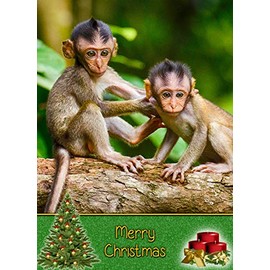 Monkey Christmas Card 'Merry Christmas' - Special Xmas Card for Him Her Kids Male Female