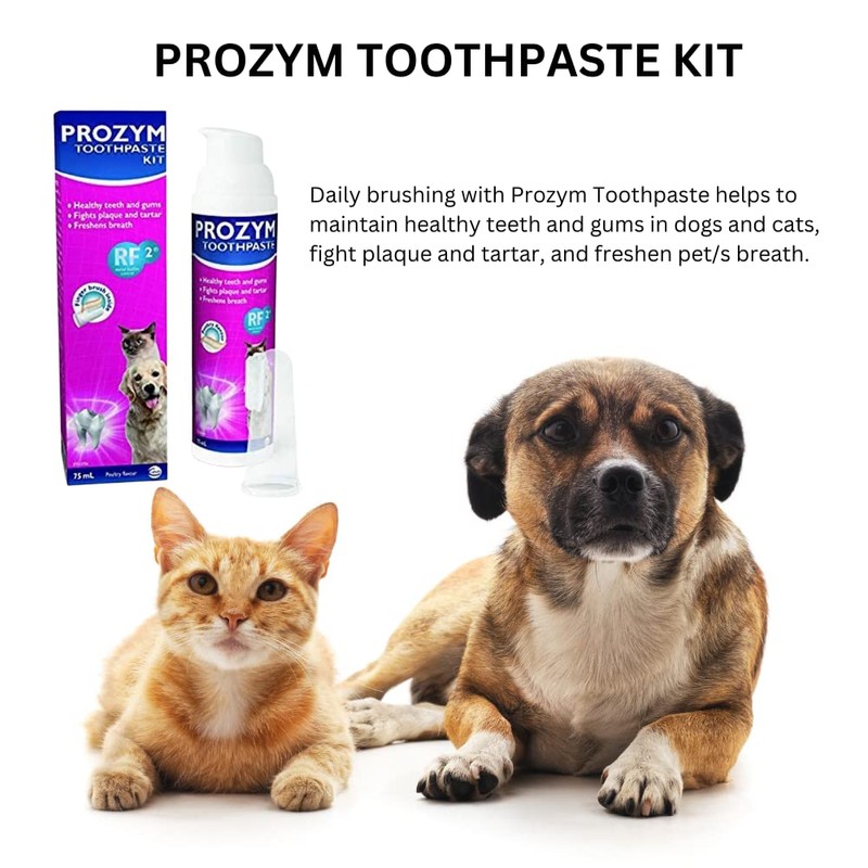 Ceva Prozym Toothpaste Kit 65Ml