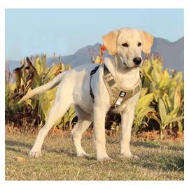 UNA MASCOTA Pechera Arnés De Seguridad para Perro Mediano Y Grande con Correa 1.5m (Caqui, M)