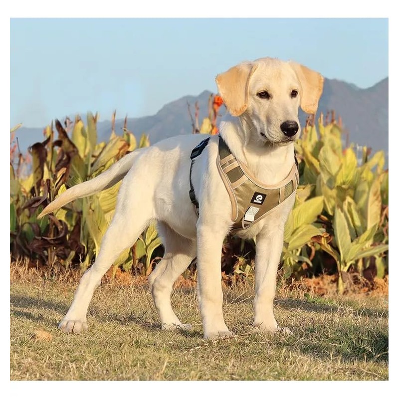 UNA MASCOTA Pechera Arnés De Seguridad para Perro Mediano Y