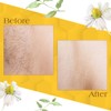 GiGi Honee Wax for Hair Removal, Mini Milk & Honey