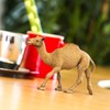 Safari Ltd. Wild Safari Wildlife Dromedary Camel