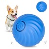 NEOALLYPETS Smart Interactive Dog Toy Ball, Active Rolling Wicked Ball
