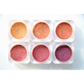 Mica Powder Pigment for Makeup - Lip Gloss Pigment Powder for Lipstick - Pigment Powder for Nails - Loose Mica Pigment Powder for Face & Body - Naked Cosmetics Naturally Nude Collection of 6