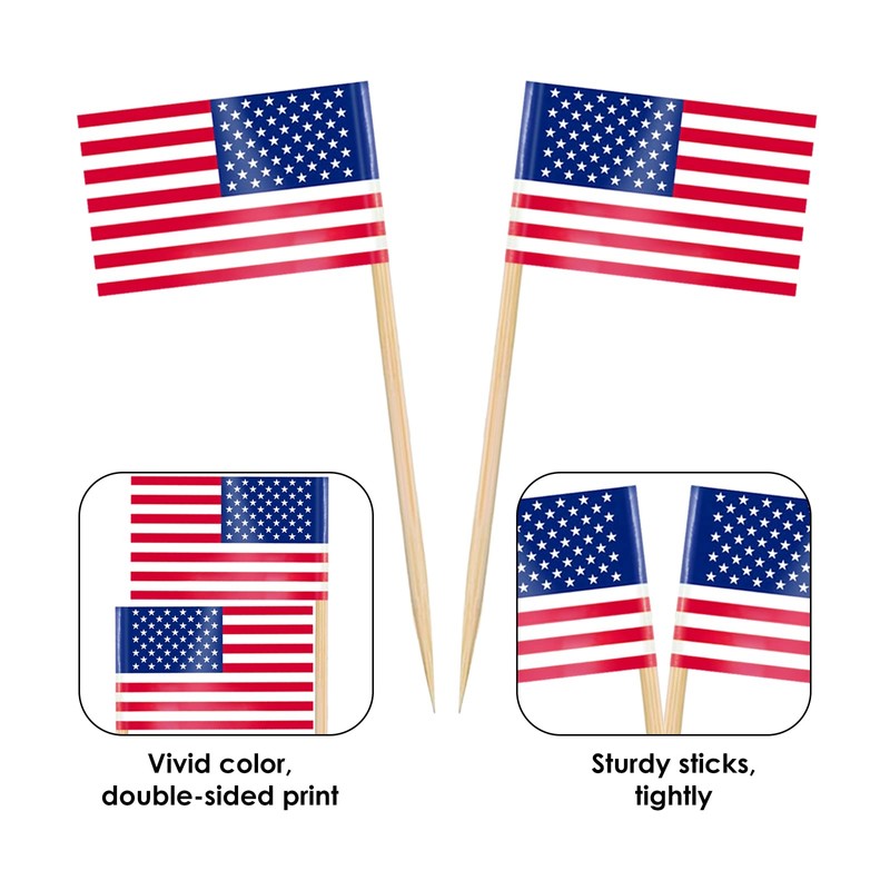 AhfuLife Different Countries Toothpick Flag, 200 Pcs Mini Flags on