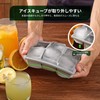 製氷皿 氷 保存容器 氷皿 四角氷 5cm 6穴 アイストレー 家庭用 容器