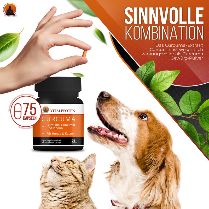 Vitalpfoten 75 Curcuma Capsules for Dogs and Cats with Curcumin