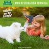 Turf Nurture Lawn Restoration Formula by GreenView Natural Base Lawn
