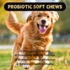 Aarkani Probiotic Supplement for Dogs – Vet-Formulated Soft Chews for