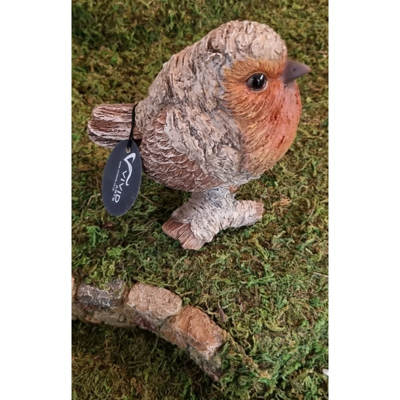 Vivid Arts - SB-ROBN-G Silver Birch Robin Wood Effect Garden