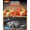 JIAXIDE Dual-Mode 300W Heat Lamp for Chickens - Long-Lasting Brooder
