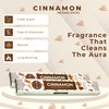 Cinnamon Incense Sticks - Incienso de Canela - Total 40